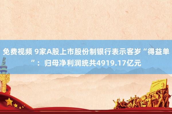 免费视频 9家A股上市股份制银行表示客岁“得益单”：归母净利润统共4919.17亿元