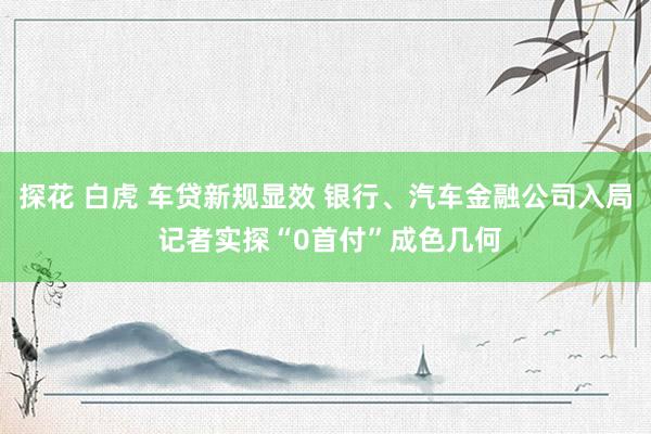 探花 白虎 车贷新规显效 银行、汽车金融公司入局 记者实探“0首付”成色几何