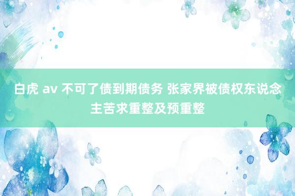 白虎 av 不可了债到期债务 张家界被债权东说念主苦求重整及预重整