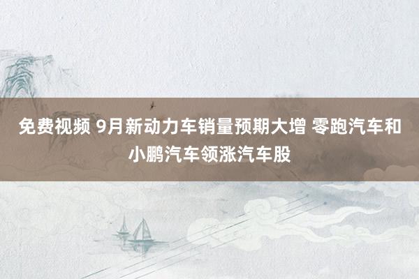 免费视频 9月新动力车销量预期大增 零跑汽车和小鹏汽车领涨汽车股