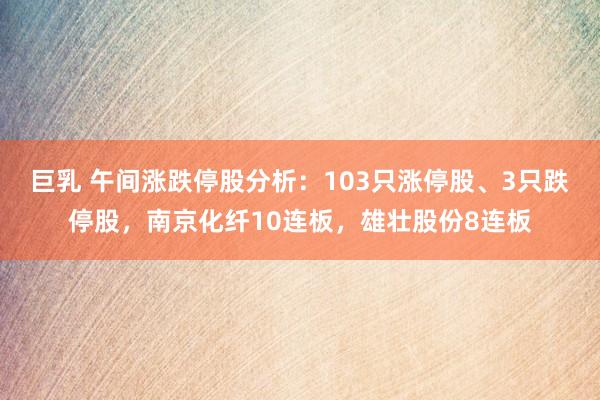 巨乳 午间涨跌停股分析：103只涨停股、3只跌停股，南京化纤10连板，雄壮股份8连板