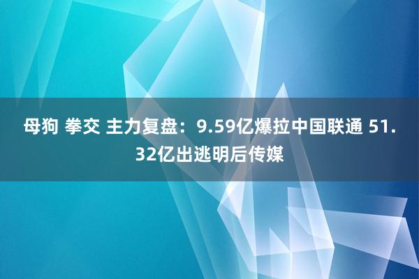 母狗 拳交 主力复盘：9.59亿爆拉中国联通 51.32亿出逃明后传媒