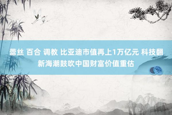 蕾丝 百合 调教 比亚迪市值再上1万亿元 科技翻新海潮鼓吹中国财富价值重估