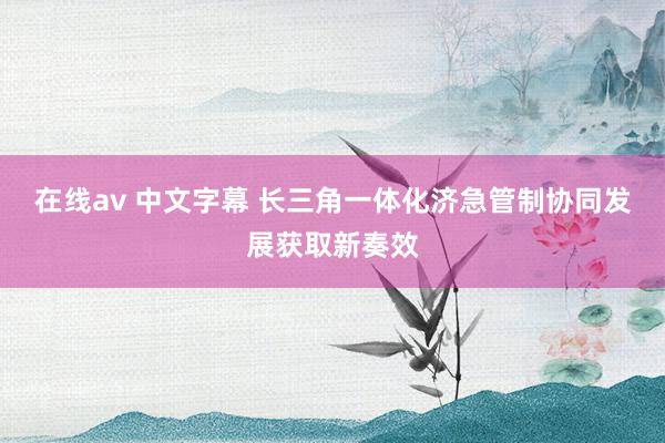 在线av 中文字幕 长三角一体化济急管制协同发展获取新奏效